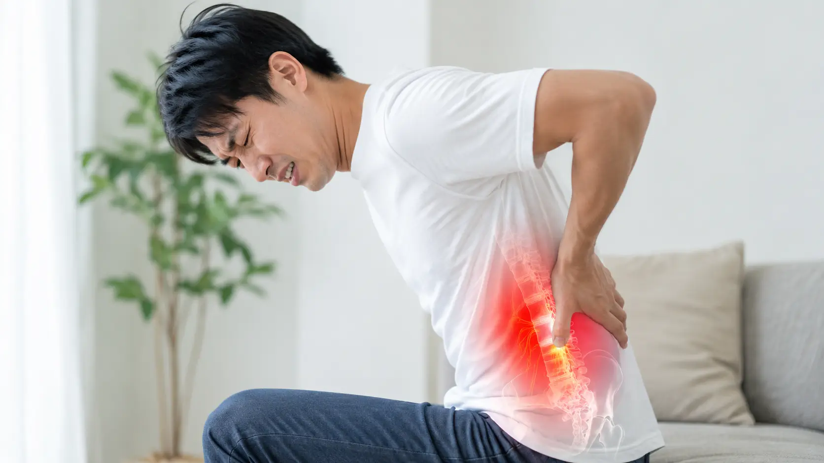 腰を押さえて強い痛みに耐える男性と、腰椎周辺の神経のイメージ。日野市で腰痛やヘルニアに悩む方へ向けたブログ画像
